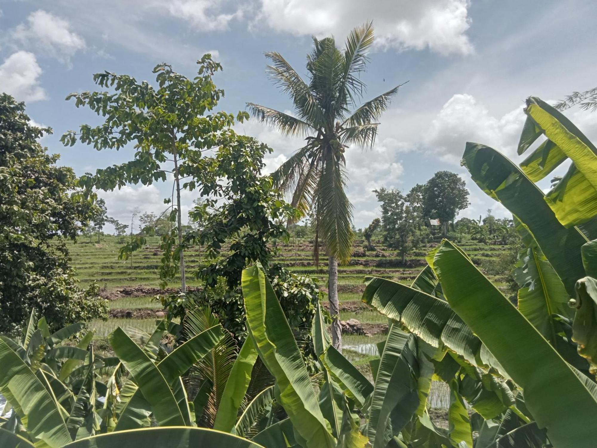Bulan Homestay Plambi ภายนอก รูปภาพ