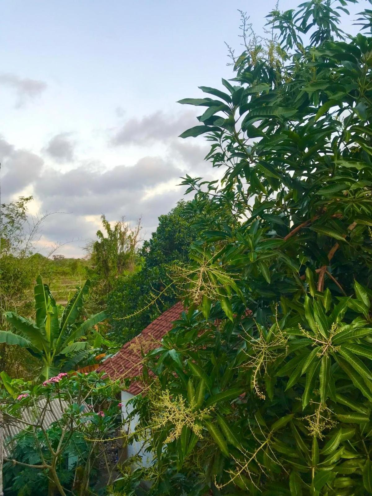 Bulan Homestay Plambi ภายนอก รูปภาพ