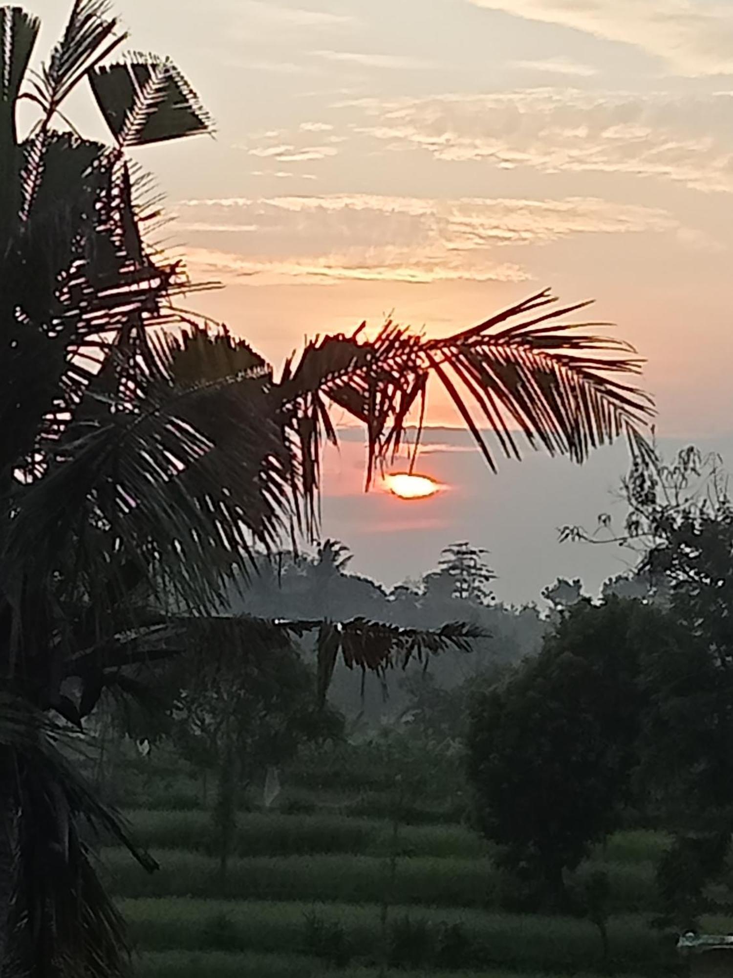 Bulan Homestay Plambi ภายนอก รูปภาพ