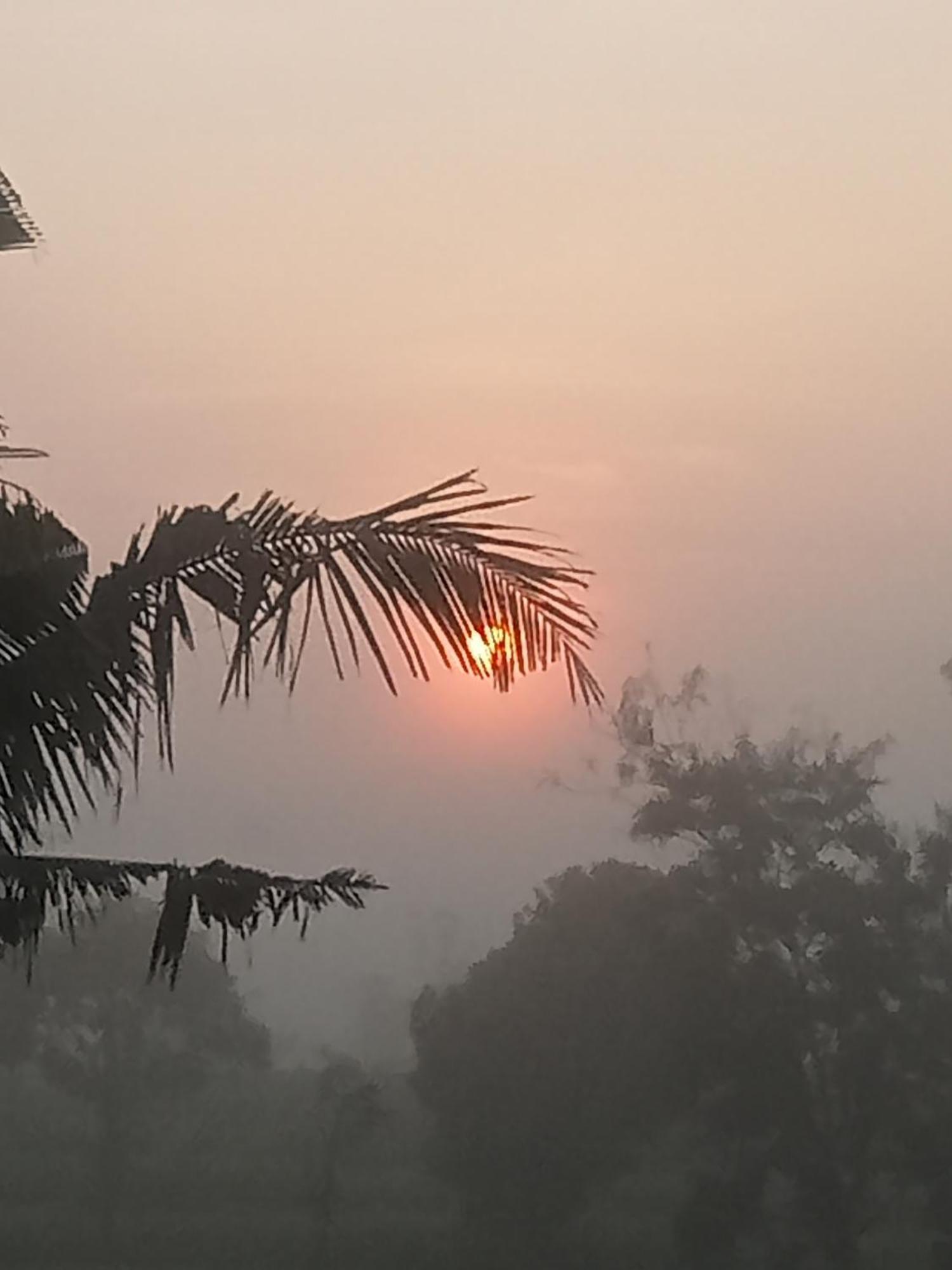 Bulan Homestay Plambi ห้อง รูปภาพ